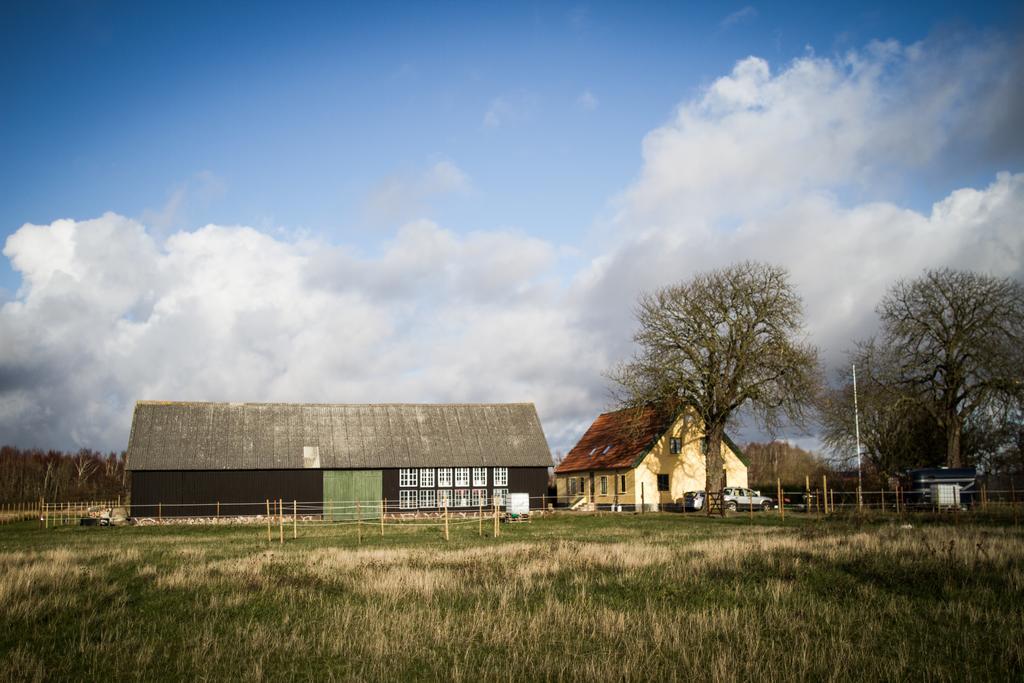 Froeken Hjorts Bed And Breakfast Хёганес Экстерьер фото